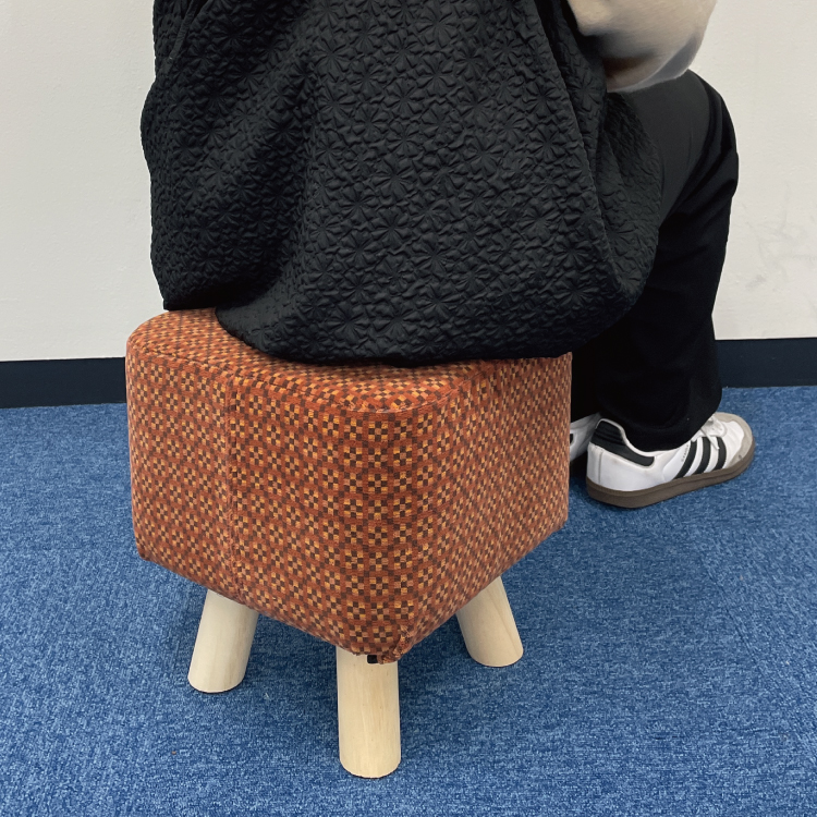 南海電鉄2200系モケットミニスツール